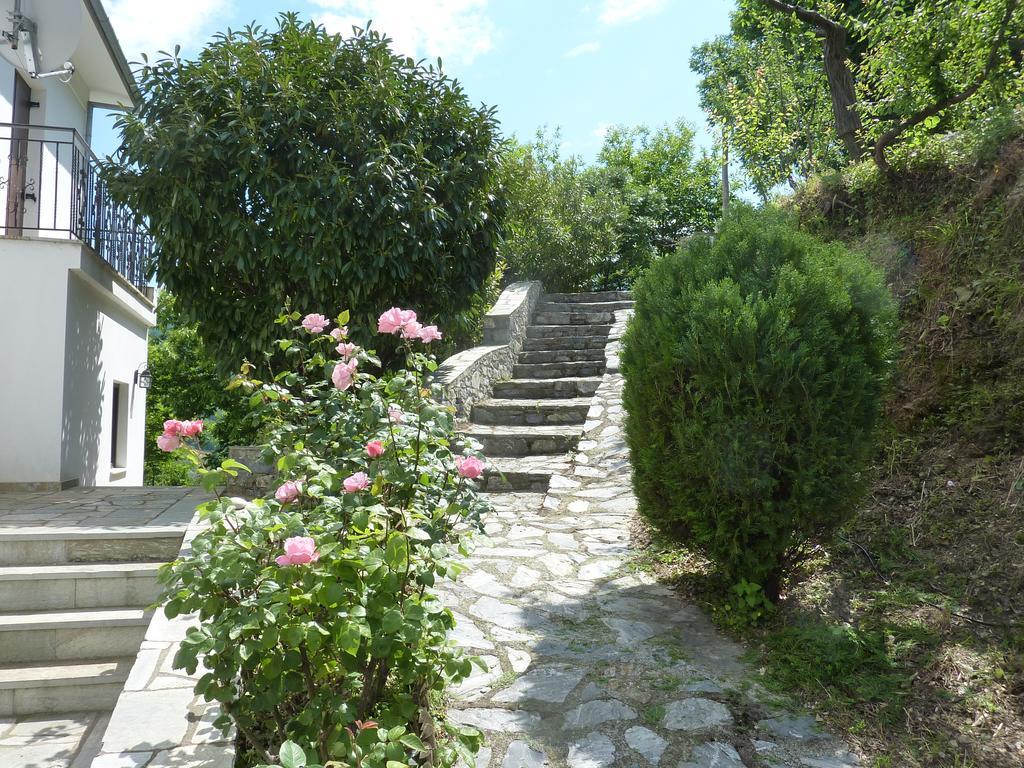 Villa Thea Makrirrákhi المظهر الخارجي الصورة